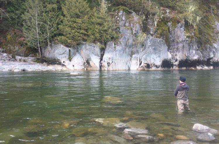 Squamish river fly fishing
