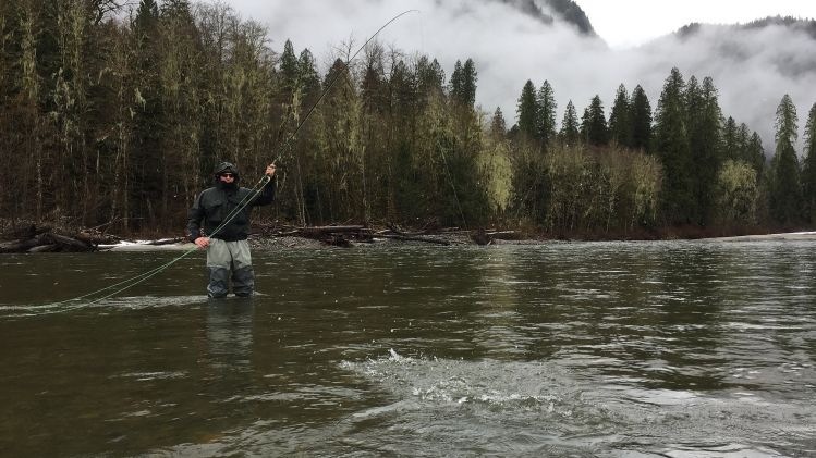 Fish on from the Squamish river