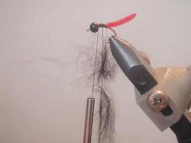 Fly tying - Marian Killer Nymph - Step 5