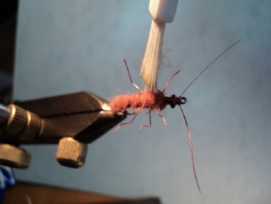 Fly tying - Ninfa stonefly realista para la pesca - Step 5