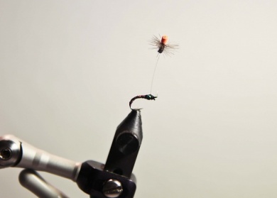 Fly tying - Paraninfa emergente de betido, quironómido,... - Step 8