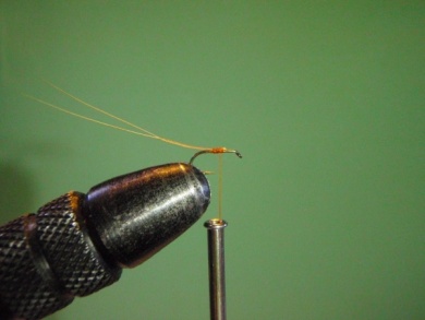 Fly tying - ephemere / may flie - Step 7