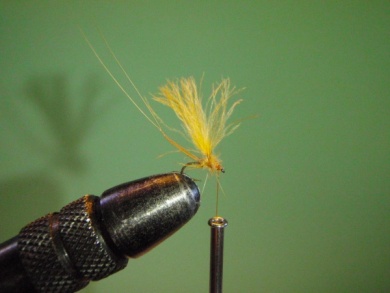 Paso a paso - ephemere / may flie - Paso 15