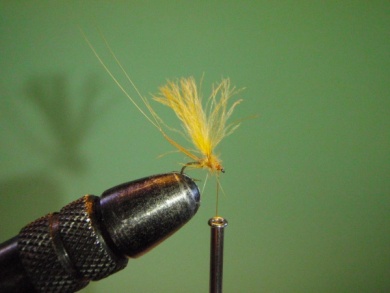 Fly tying - ephemere / may flie - Step 15