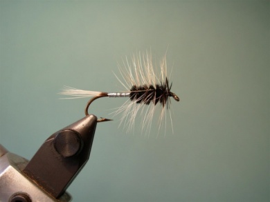 Fly tying - Big Hole Demon (Silver) - Step 7