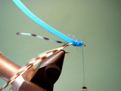 Fly tying - Braided Butt Damsel Adult - Step 4