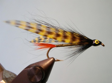 Fly tying - Chateaubriand Special - Step 6