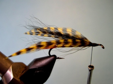 Fly tying - Chateaubriand Special - Step 4