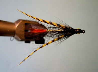 Fly tying - Chateaubriand Special - Step 7