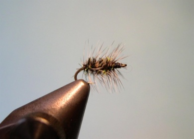 Fly tying - Griffith's Gnat - Step 4