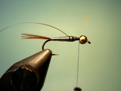 Fly tying - Lightning Bug - Step 5