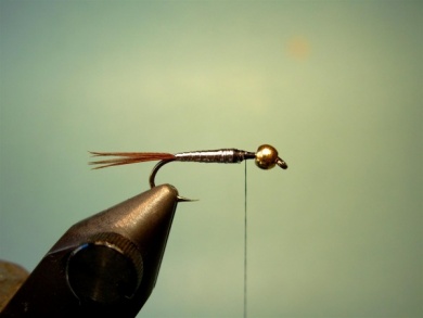 Fly tying - Lightning Bug - Step 4