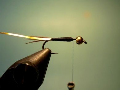 Fly tying - Lightning Bug (variation) - Step 3