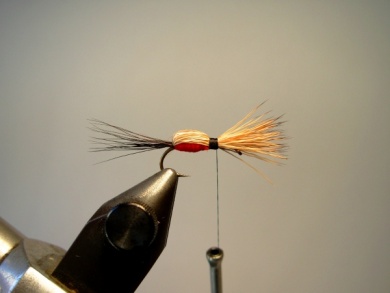 Fly tying - Red Humpy - Step 5