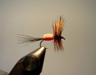 Fly tying - Red Humpy - Step 8