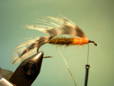 Fly tying - Matuka - Step 5