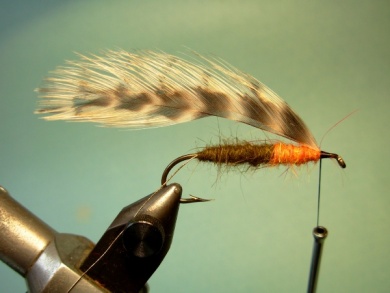 Fly tying - Matuka - Step 4