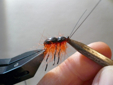 Fly tying - Gaja’s Winged Fishing Beetle - Step 21