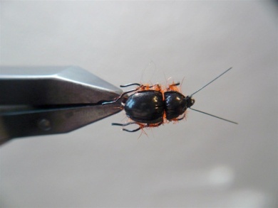 Fly tying - Gaja’s Winged Fishing Beetle - Step 27