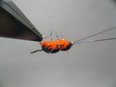 Fly tying - Gaja’s Winged Fishing Beetle - Step 24