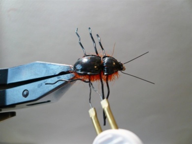 Fly tying - Gaja’s Winged Fishing Beetle - Step 26
