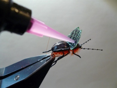 Fly tying - Gaja’s Winged Fishing Beetle - Step 45