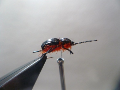Fly tying - Gaja’s Winged Fishing Beetle - Step 38