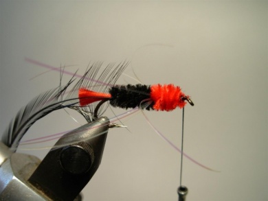 Fly tying - Woolly Worm - Step 8