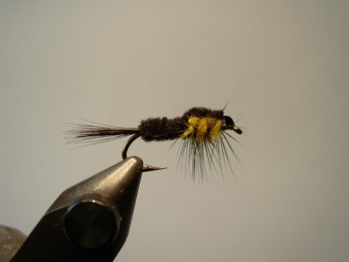 Fly tying - Montana Stone - Step 8