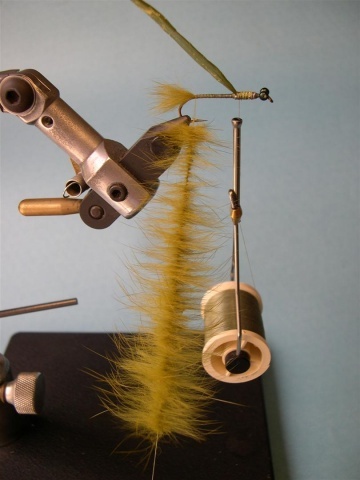 Fly tying - Olive Loop Dragon - Step 7