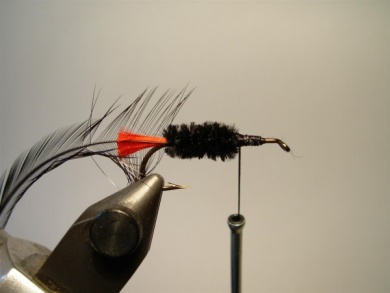 Fly tying - Woolly Worm - Step 5
