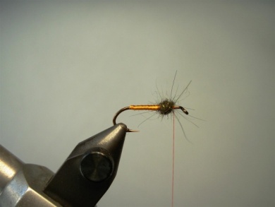 Fly tying - Partridge & Orange - Step 3