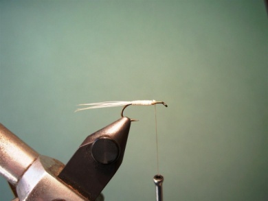 Fly tying - Variant - Step 3