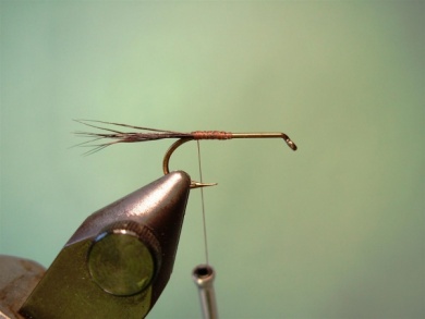 Fly tying - Irresistible Wulff - Step 1