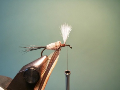 Fly tying - Irresistible Wulff - Step 7