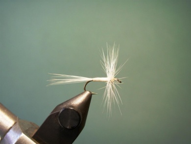 Fly tying - Variant - Step 5