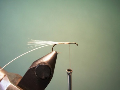 Fly tying - Variant - Step 2