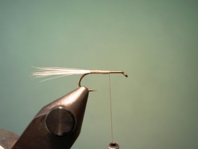 Fly tying - Variant - Step 1