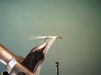 Fly tying - Variant - Step 4