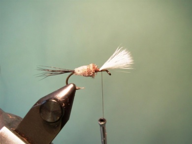 Fly tying - Irresistible Wulff - Step 5