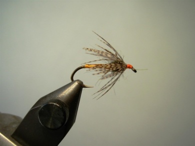 Fly tying - Partridge & Orange - Step 5