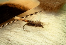 Parachute Caddis