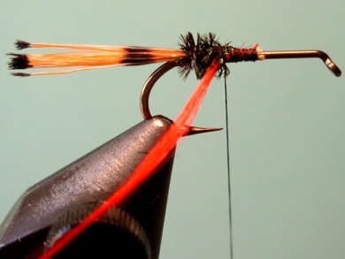 Fly tying - Royal Trude - Step 4
