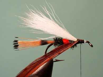 Fly tying - Royal Trude - Step 9