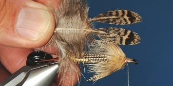Fly tying - George´s Grant Stone Fly - Step 11