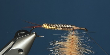 Fly tying - George´s Grant Stone Fly - Step 9