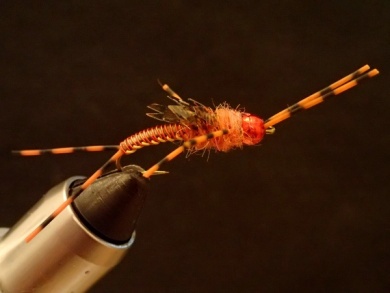 Fly tying - Wire Weave Orange Stone - Step 20