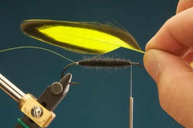 Fly tying - F & H Matuka - Step 3