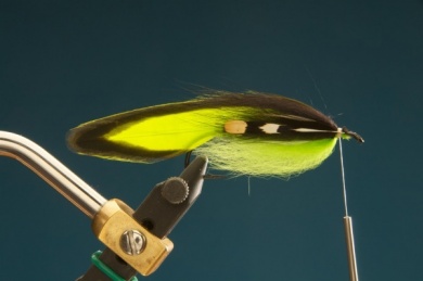 Fly tying - F & H Matuka - Step 8