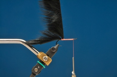 Fly tying - Blue Mamba - Step 1